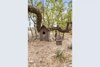 232 Crooked Oak Lane, Round Mountain, TX 78663 - Photo 35