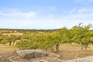 232 Crooked Oak Ln, Round Mountain, TX 78663 - Photo 3