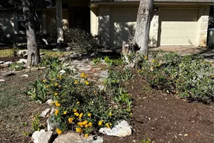 13169 Mill Stone Dr, Austin, TX 78729 - Photo 1