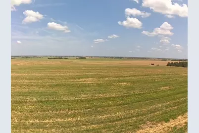 1201 County Road 460 Road, Coupland, TX 78615 - Photo 21