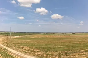 1201 County Road 460 Rd, Coupland, TX 78615 - Photo 1