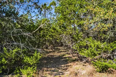 1038 Hidden Hills Drive, Dripping Springs, TX 78620 - Photo 5