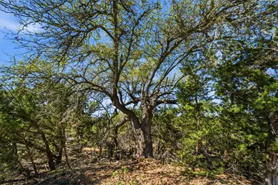 1038 Hidden Hills Drive, Dripping Springs, TX 78620 - Photo 3
