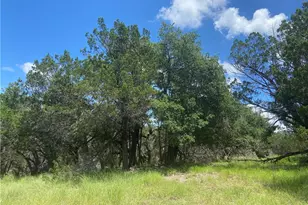 15044 Lone Star, Horseshoe Bay, TX 78657 - Photo 3