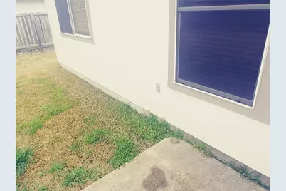 211 Wild Buffalo Drive, Kyle, TX 78640 - Photo 11