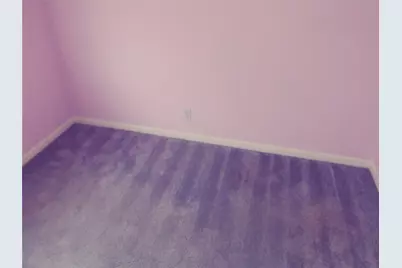 211 Wild Buffalo Drive, Kyle, TX 78640 - Photo 5