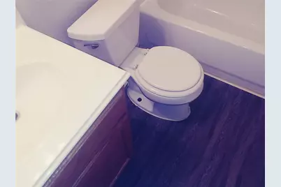 211 Wild Buffalo Drive, Kyle, TX 78640 - Photo 3