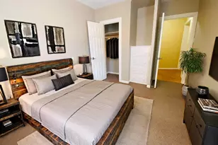 521 E Live Oak St, Austin, TX 78704 - Photo 23