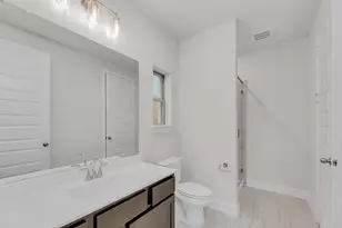 161 Montecilo Dr, Liberty Hill, TX 78642 - Photo 19