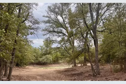 12 Acres Mt Pleasant Road, Cedar Creek, TX 78612 - Photo 1