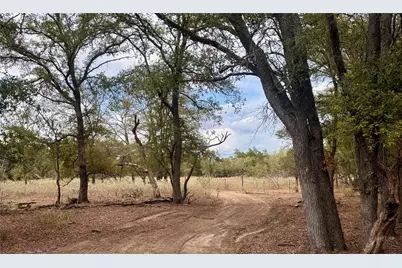 12 Acres Mt Pleasant Road, Cedar Creek, TX 78612 - Photo 3