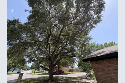 1009 Bowie Street, Lockhart, TX 78644 - Photo 3