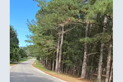 147 Oak Leaf Drive, Bastrop, TX 78602 - Photo 7