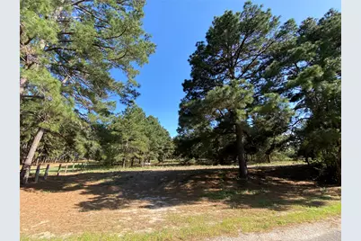 147 Oak Leaf Drive, Bastrop, TX 78602 - Photo 3