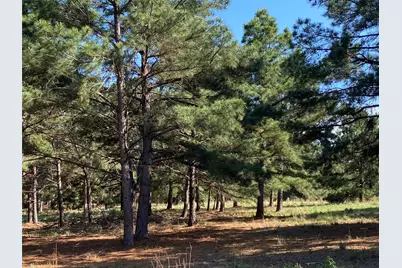 147 Oak Leaf Drive, Bastrop, TX 78602 - Photo 1