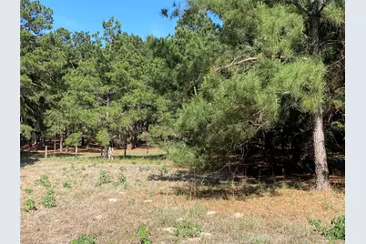 147 Oak Leaf Drive, Bastrop, TX 78602 - Photo 5