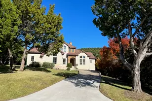 7303 Matisse Pointe Dr, Jonestown, TX 78645 - Photo 39