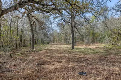 800 Bugtussle Lane, Luling, TX 78648 - Photo 5