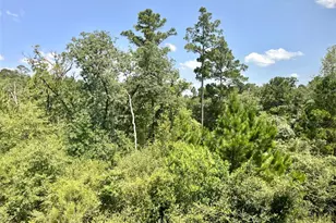 108 W Keamuku Ct, Bastrop, TX 78602 - Photo 33