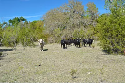 0 Fm 581 Highway, Lometa, TX 76853 - Photo 25