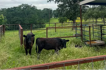2936 Fm 1704, Elgin, TX 78621 - Photo 39