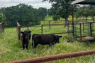 2936 Fm 1704, Elgin, TX 78621 - Photo 39