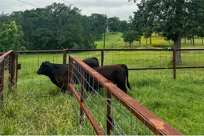2936 Fm 1704, Elgin, TX 78621 - Photo 25