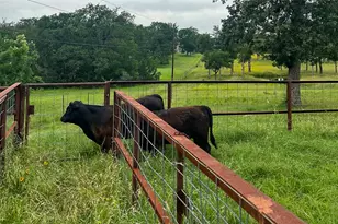 2936 Fm 1704, Elgin, TX 78621 - Photo 25