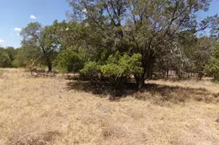 Lot 142 Pine Ln, Cottonwood Shores, TX 78657 - Photo 3