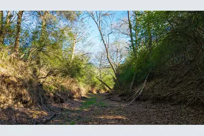 1700 County Road 216, Giddings, TX 78942 - Photo 9