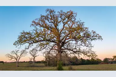 1700 County Road 216, Giddings, TX 78942 - Photo 15