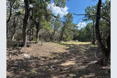 17307 E Reed Parks Road, Jonestown, TX 78645 - Photo 35