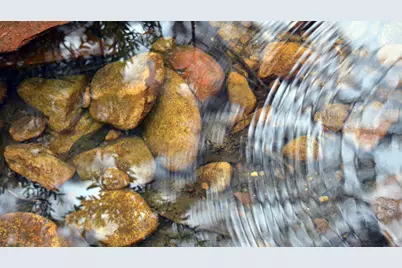 315 Foxfire Cove, Lockhart, TX 78644 - Photo 11