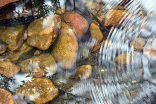 315 Foxfire Cove, Lockhart, TX 78644 - Photo 11