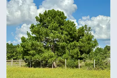 Tbd Homestead Circle, Paige, TX 78659 - Photo 5