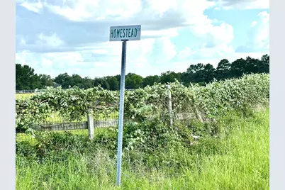 Tbd Homestead Circle, Paige, TX 78659 - Photo 9