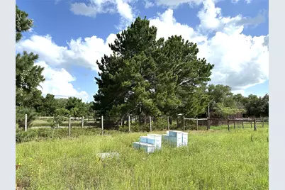 Tbd Homestead Circle, Paige, TX 78659 - Photo 7