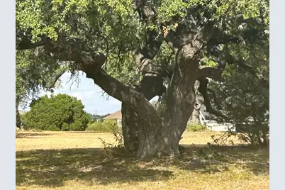 100 Green Branch Court, Liberty Hill, TX 78642 - Photo 3