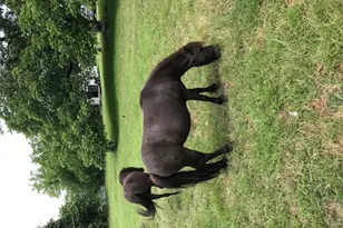 20311 State Hwy 95, Holland, TX 76534 - Photo 23