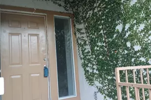 1227 Armadillo Rd, Austin, TX 78745 - Photo 3