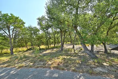 170 Night Wrangler Lane, Driftwood, TX 78619 - Photo 3