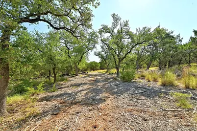 170 Night Wrangler Lane, Driftwood, TX 78619 - Photo 5