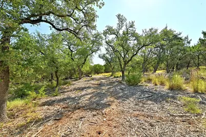 170 Night Wrangler Lane, Driftwood, TX 78619 - Photo 5