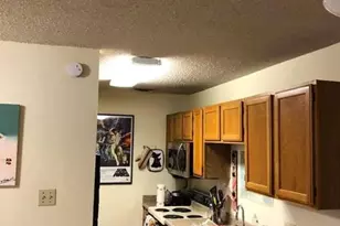 3115 Helms St, Austin, TX 78705 - Photo 5