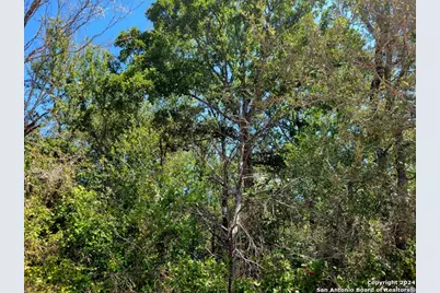 Tbd Dale Ln Lane, Dale, TX 78616 - Photo 19