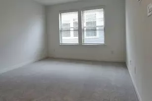 1808 Spg Mountain Cv, Georgetown, TX 78628 - Photo 17