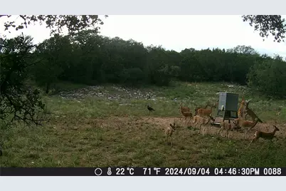 1595 Skyridge Road, Lampasas, TX 76550 - Photo 19