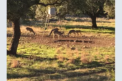 1595 Skyridge Road, Lampasas, TX 76550 - Photo 23