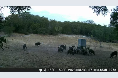 1595 Skyridge Road, Lampasas, TX 76550 - Photo 21