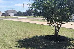 213 Dawn Dr, Liberty Hill, TX 78642 - Photo 13
